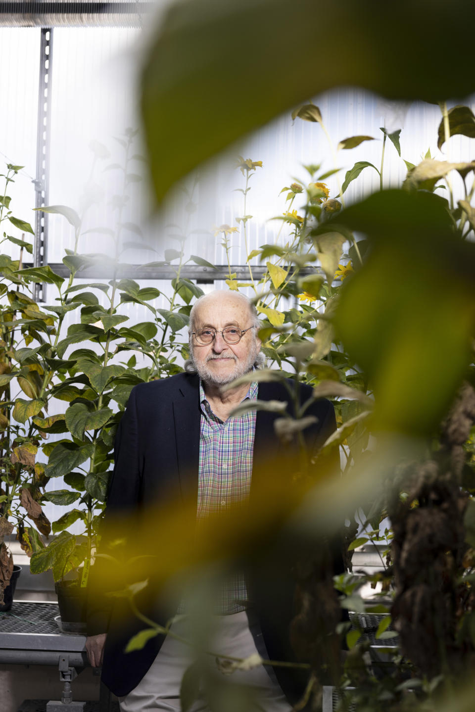 Donald Wyse, cofundador de la Iniciativa Siempre Verdes, que trabaja para que la agricultura regenerativa se vuelva una realidad, en un invernadero de la Universidad de Minnesota, en Saint Paul, el 26 de abril 2022. (Jenn Ackerman/The New York Times)
