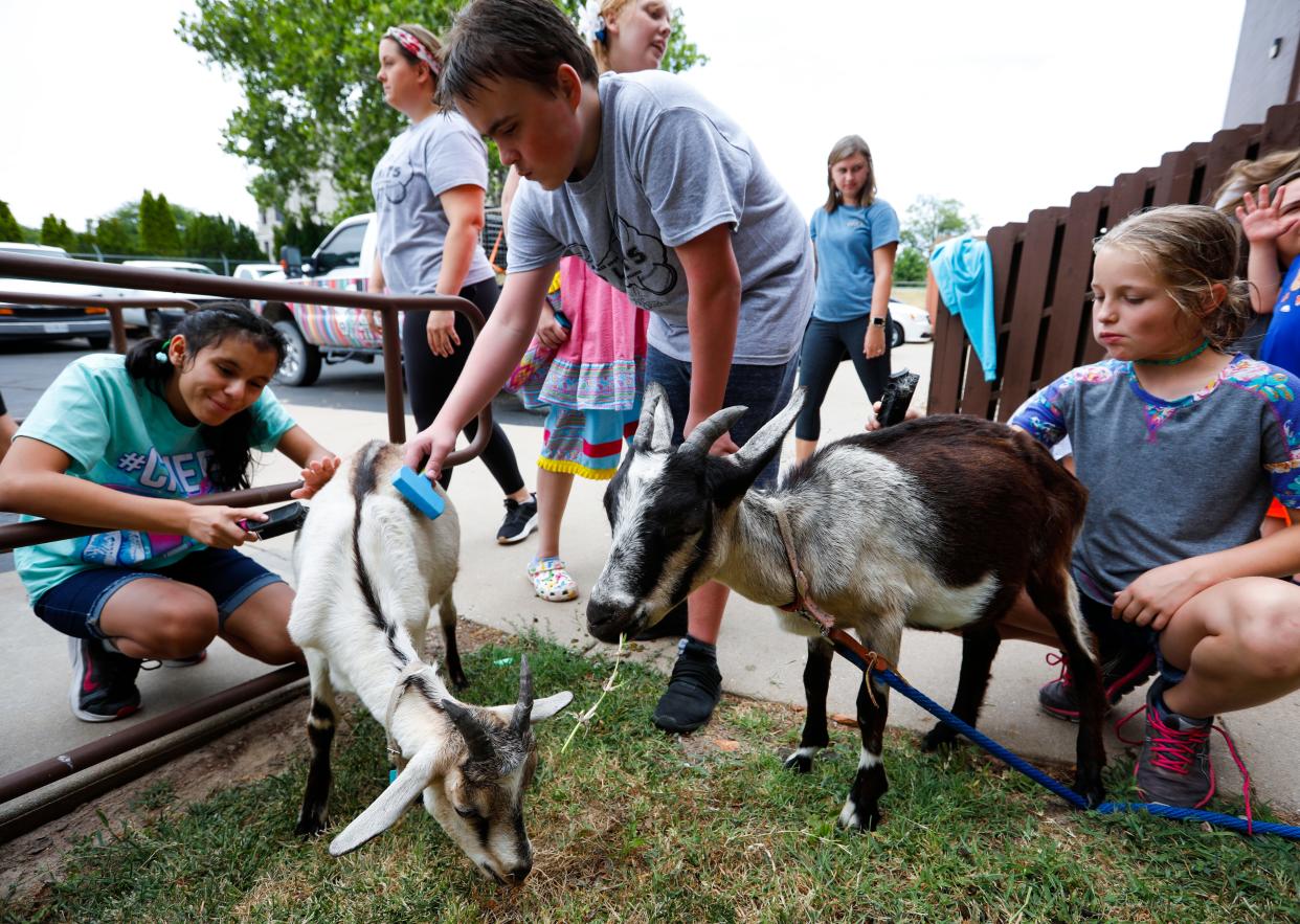 Arc of the Ozarks summer campers brush and feed goats from Rafter C Rodeo Goats during an activity day at the Timothy Grant Newport Activity Center on Thursday, July 28, 2022.