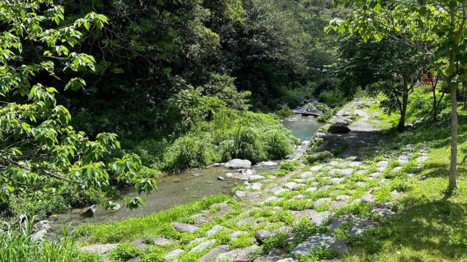 淨溪反而汙染溪水 延平鄉公所流動廁所糞水直接排入挨批(圖/TVBS)