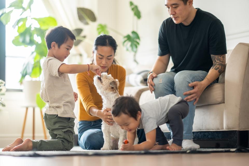 A family of four, a couple and two kids, with a pet dog (Photo: Getty Images) 