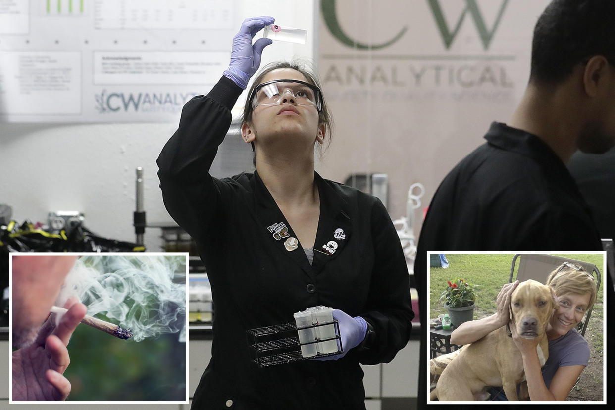 Two scientists, Jessica Ibarra and Tommie Griffin, work in a lab at CW Analytical Laboratories in Oakland, CA, testing cannabis for contaminants.