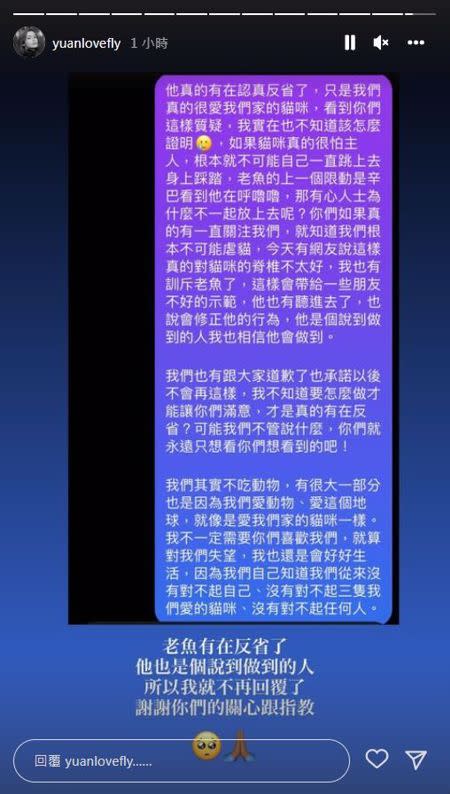 袁艾菲針對熱議也認真回應網友的指教並清楚說明原委。（圖／取自袁艾菲IG限時動態）