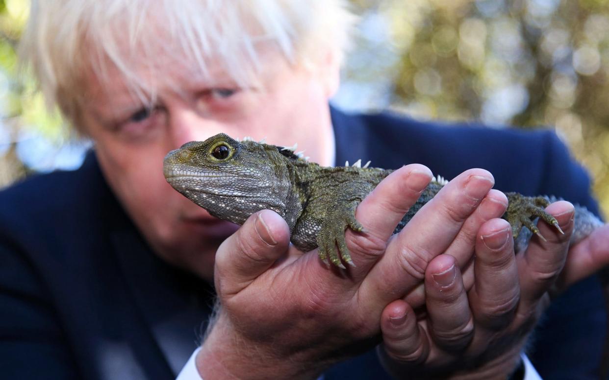 Boris Johnson holds a Tuatara lizard at Zealandia nature reserve in Wellington, New Zealand, Tuesday, July 25, 2017 - GETTY Pool