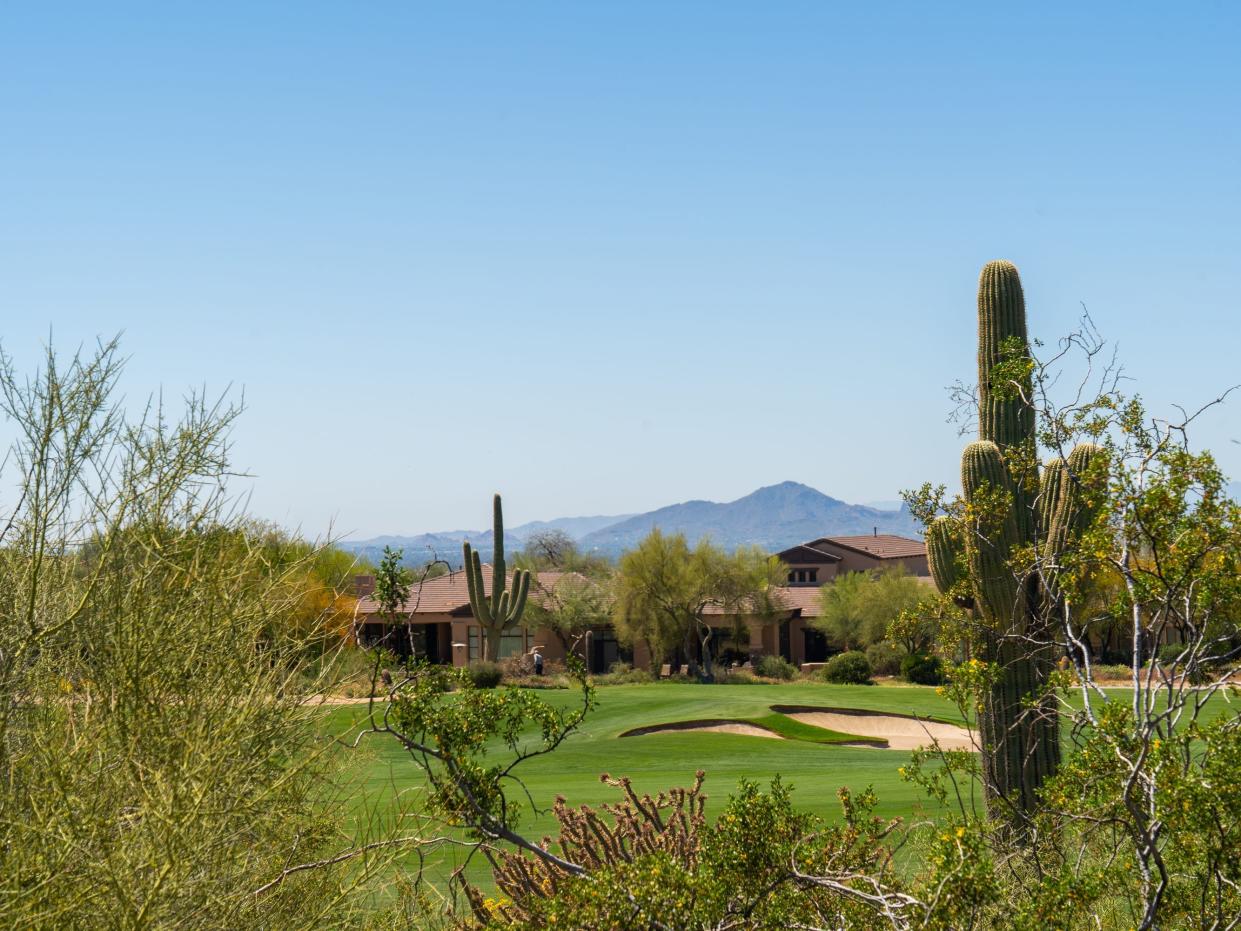 Foliage and cacti inn front of a golf course in front of homes in front of a mountain range