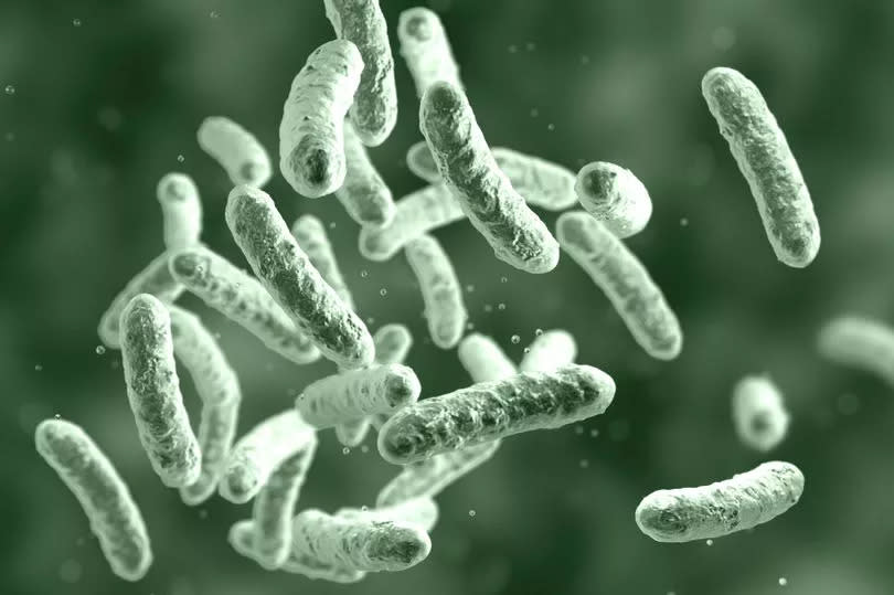 European Centre for Disease Prevention and Control said it is investigating a serious number of cases of dangerous and highly infectious shigella sonnei infection