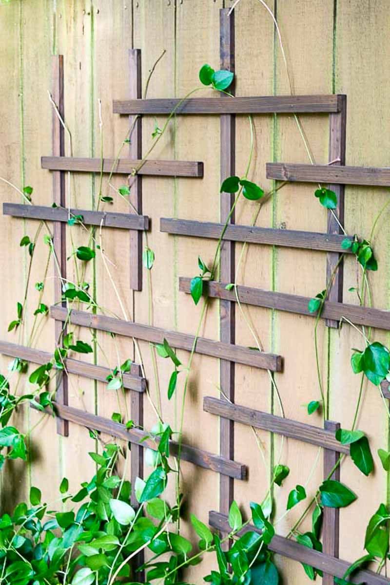 diy trellis ideas