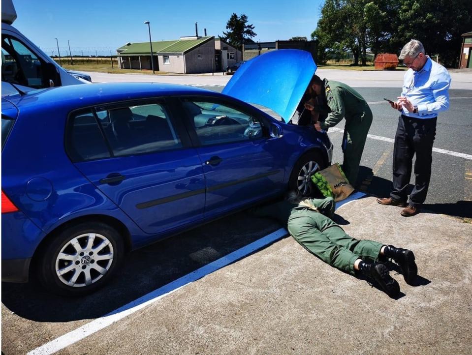 The eight-week-old kitten was discovered inside a tiny hole between the wheel arch and liner of a Volkswagen Golf. (Martyn Collick/PA)