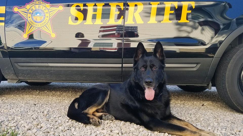 K-9 Officer Brutus served with the Sandusky County Sheriff's Office from 2011 until he retired in 2018. He lived with the McGrady family until he died in October 2021.