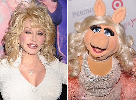 celebrity look alike muppets