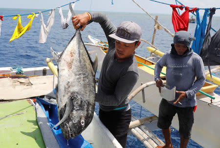 A Philippine fisherman prepares to weigh a fish at the disputed Scarborough Shoal April 5, 2017. Picture taken April 5, 2017 REUTERS/Erik De Castro