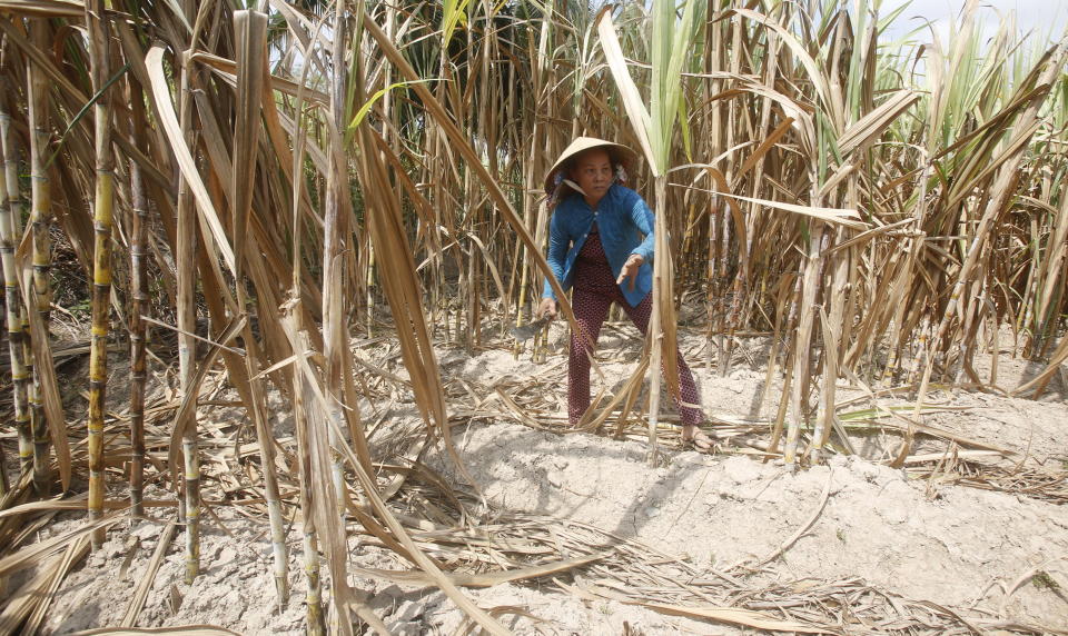 vietnam drought