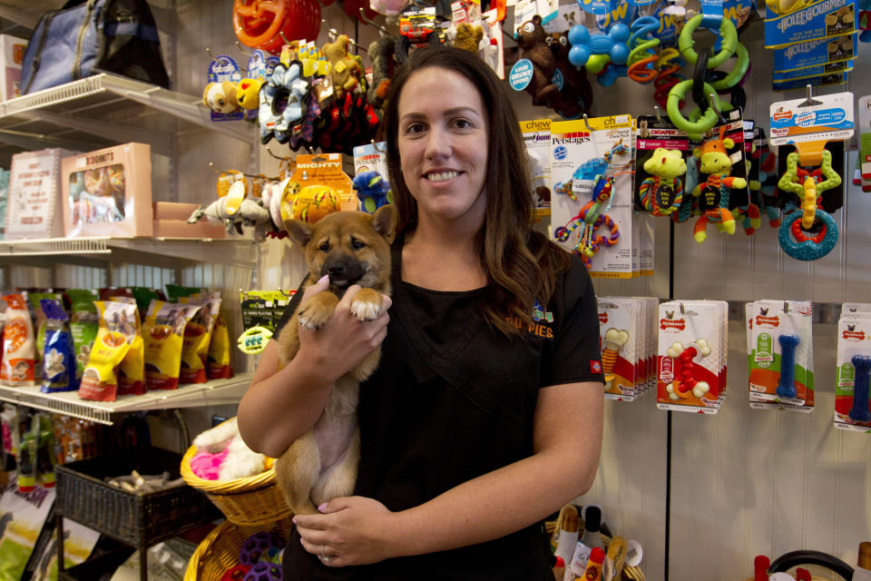 Charm City Puppies manager Becky Schmidt poses with a puppy at a pet store in Columbia, Md., Monday, Aug. 26, 2019. Pet stores are suing to block a Maryland law that will bar them from selling commercially bred dogs and cats, a measure billed as a check against unlicensed and substandard "puppy mills." Schmidt, whose Columbia store is one of the plaintiffs, said it only uses breeders that are "quality-inspected" and federally regulated. "If anything, if our doors close, it's going to force consumers to have to go to the unregulated, uninspected sources," she said Monday. (AP Photo/Jose Luis Magana)
