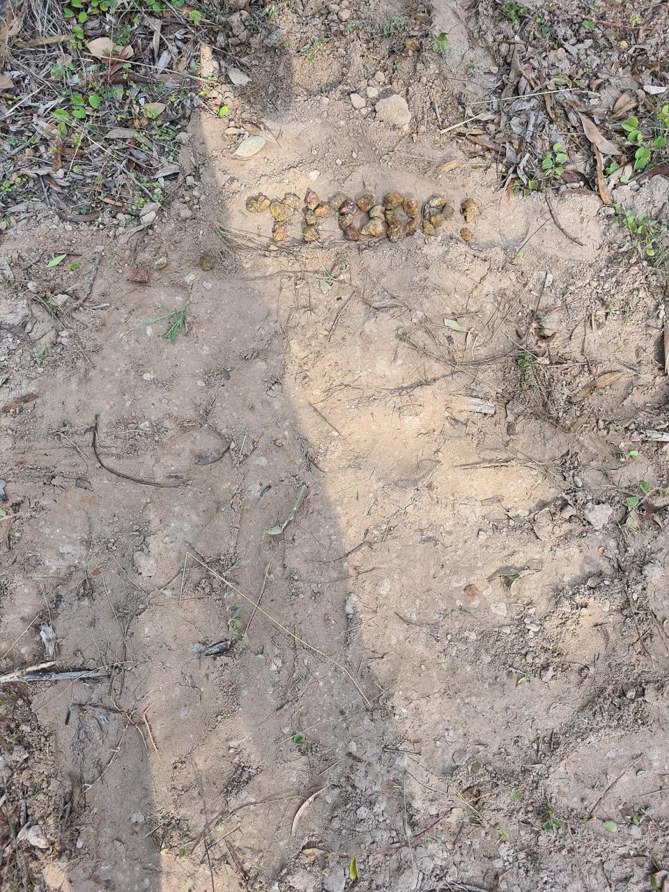 The pup was buried in the man's backyard with his other loved pets. Source: Facebook