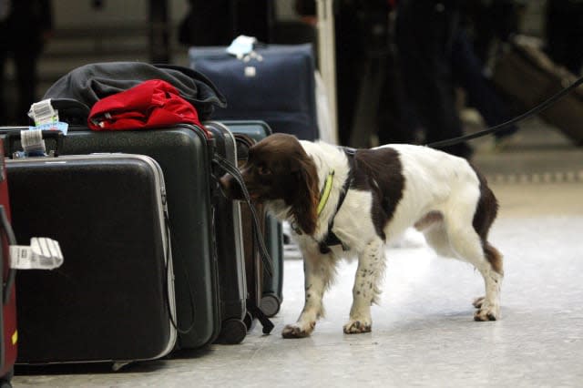 UK Border Agency drug detection