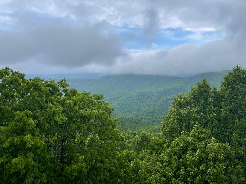 Set in the mountains near Boone, N.C., the Art of Living Retreat Center teaches yoga, meditation and wellness.