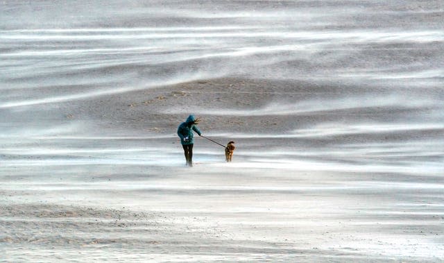 Windswept beach