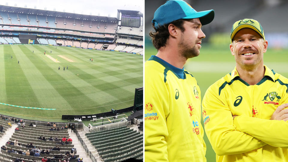 Cricket fans, pictured here during the third ODI between Australia and England at the MCG.