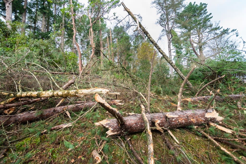 Weather damage from Storm Arwen, Bodnant Gardens, Gwynedd (Paul Harris/National Trust/PA)