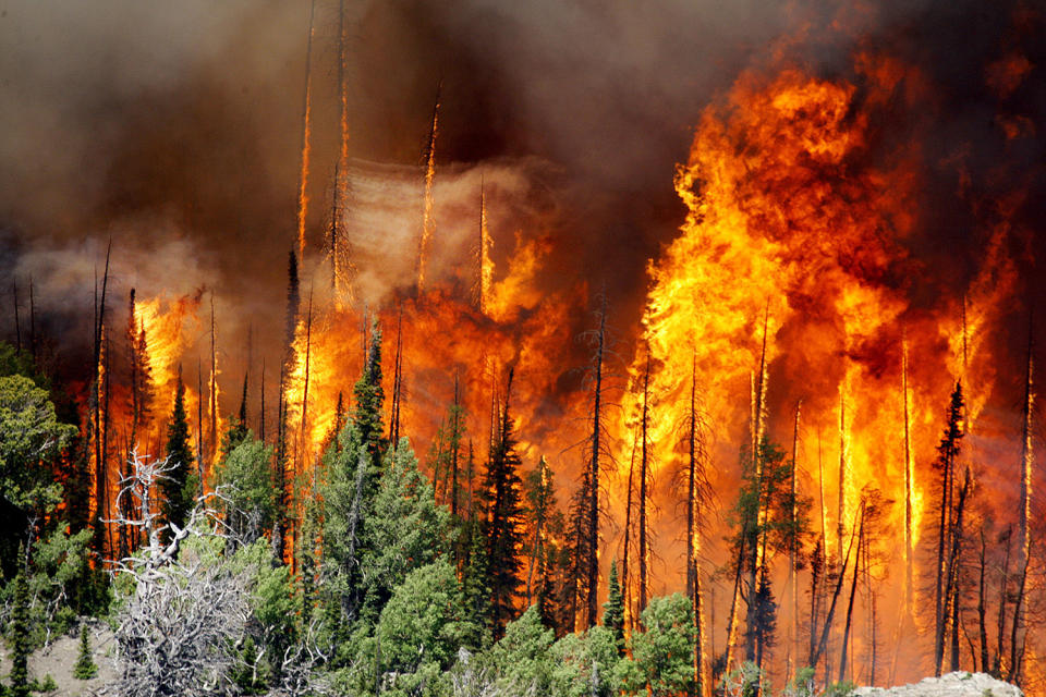 <p>The Brian Head Fire continues to grow and has burned more than 27,700 acres, June 23, 2017 in Brian Head, Utah. A wildfire menacing a southern Utah ski town for nearly a week flared again, doubling in size for the second night in a row and torching more homes after residents fled the flames, officials said Friday. (Stuart Johnson/The Deseret News via AP) </p>