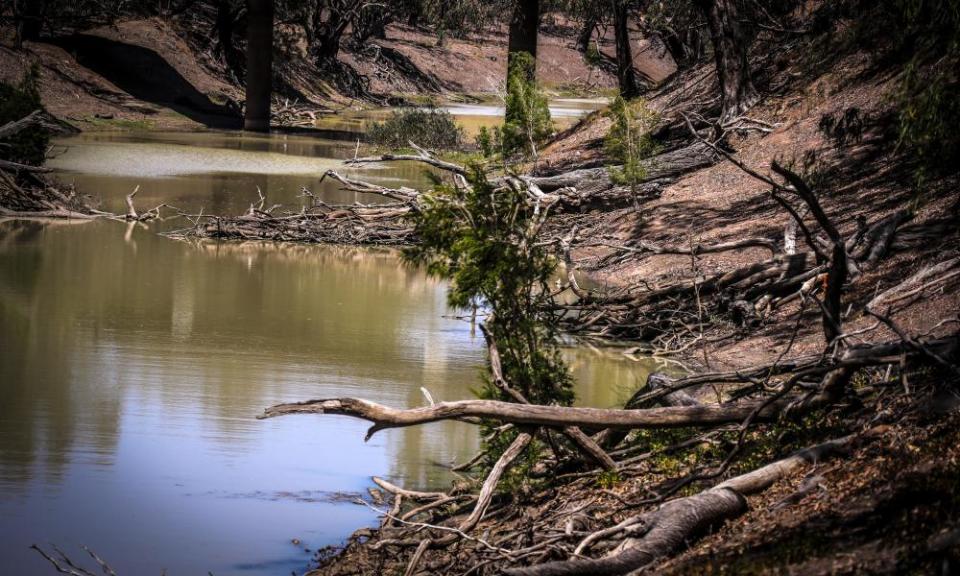 The Barwon River at Walgett