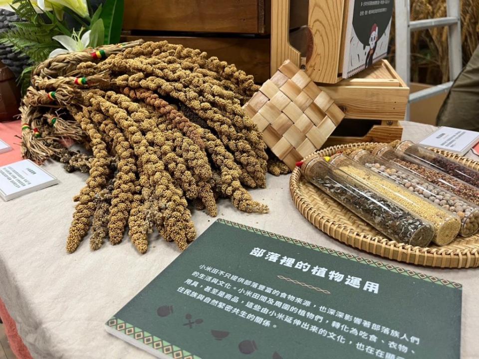 「ＶＵＶＵ的山林記憶．原民文化與生物多樣性」特展，即日起在潮州林後四林平地森林園區展出，歡迎民眾踴躍前往觀展。（記者鄭伯勝攝）