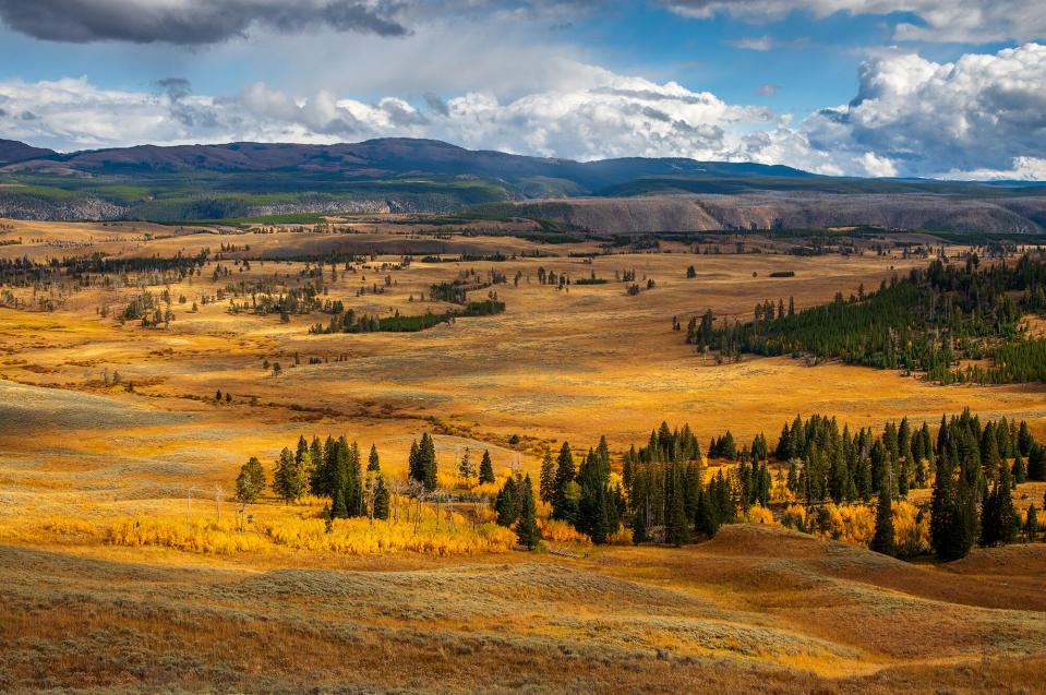 yellowstone national park