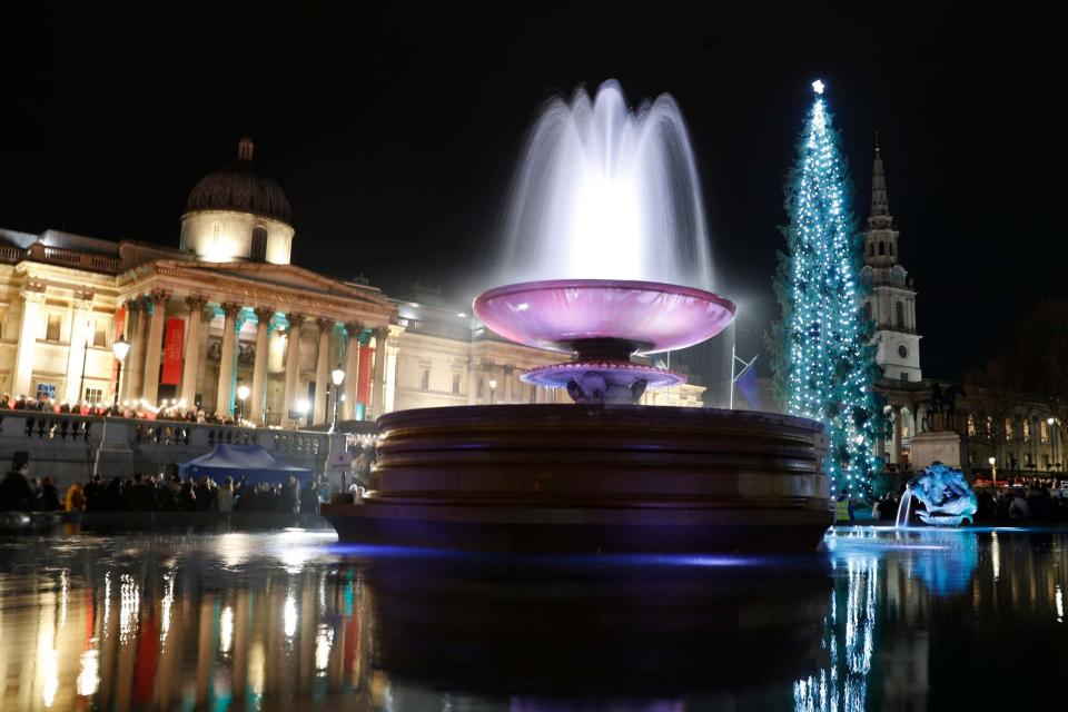 The Norwegian Christmas tree stands (AP)