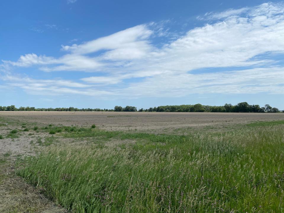 A field at the corner of Laberdee Road and Chatfield Highway in Raisin Township, where part of the proposed Beecher Solar project would be built, is pictured Wednesday.