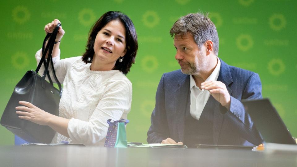 Robert Habeck und Annalena Baerbock führen die Grünen seit Januar 2018.