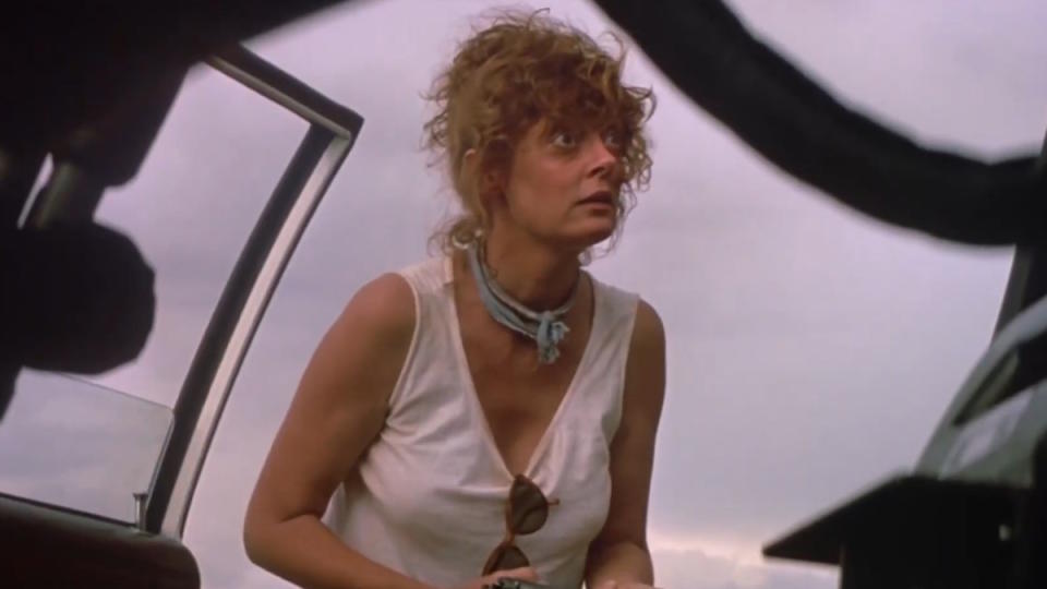 Susan Sarandon in Thelma & Louise