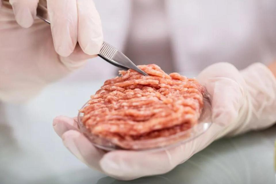 laboratory-grown meat