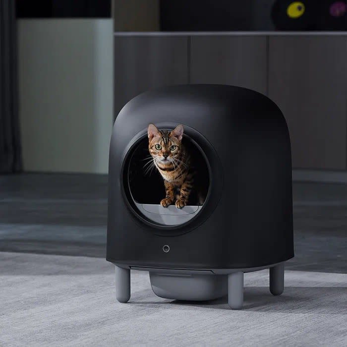 A cat sits in the modern, dome-shaped automatic litter box in black