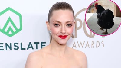 Amanda Seyfried Celebrities Who Have Chicken Coops at Home