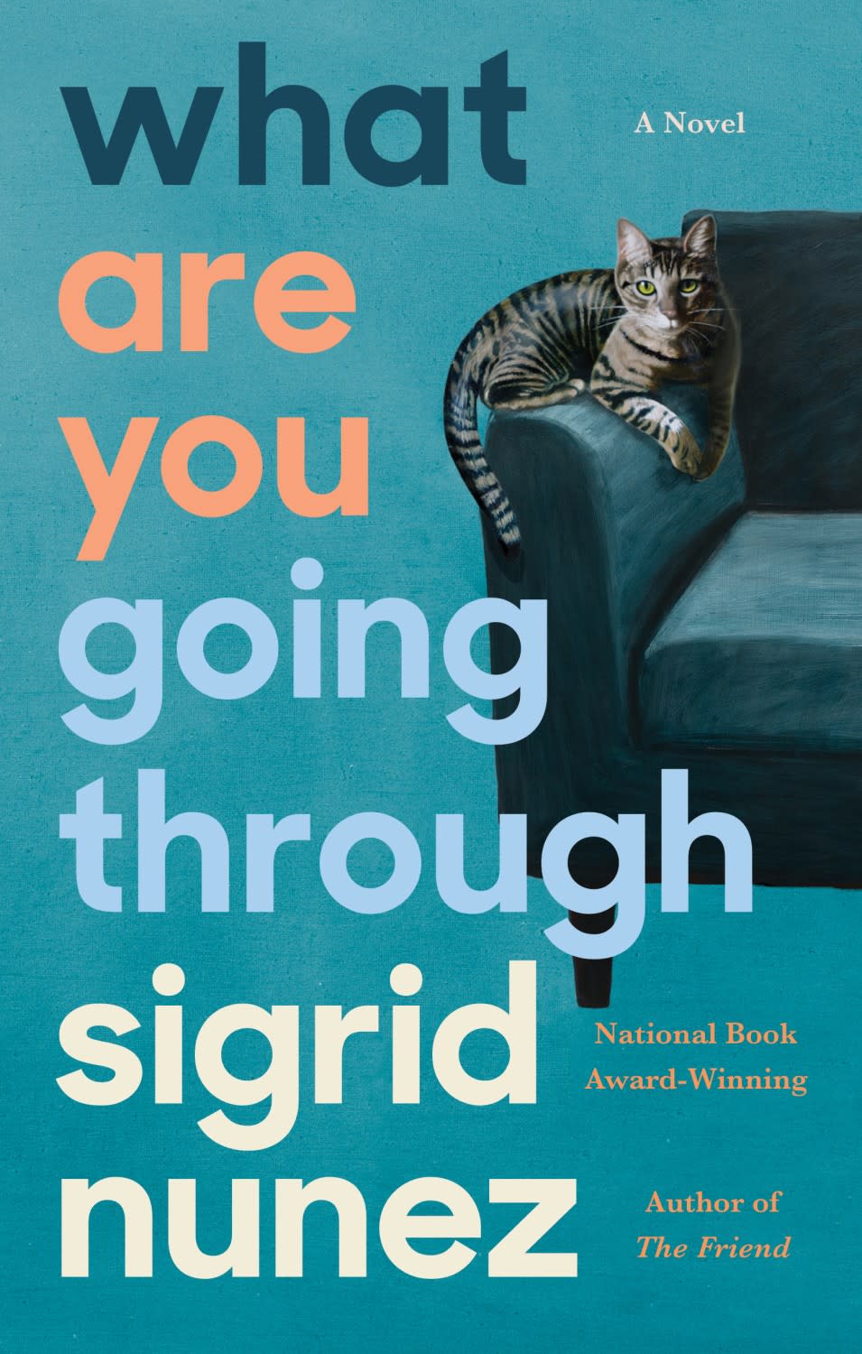 Book jacket for Sigrid Nunez's "What Are You Going Through."