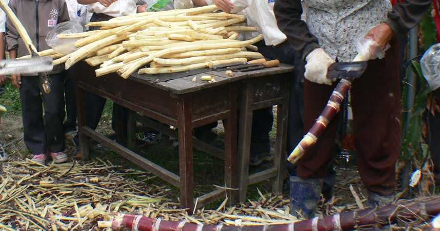 （圖／報系資料照）