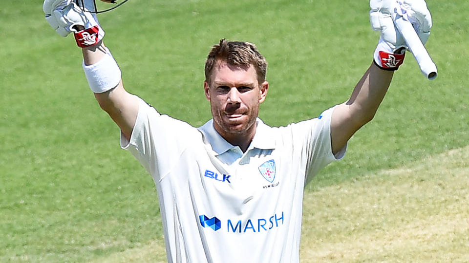 David Warner, pictured here celebrating his century in the Sheffield Shield.