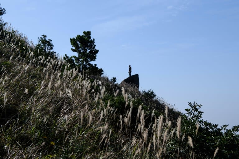 Wooded hillsides, craggy ridges and wheeling birds of prey are a world away from Hong Kong's famous skyscrapers but the city's country parks are a necessary balm for its stressed out residents