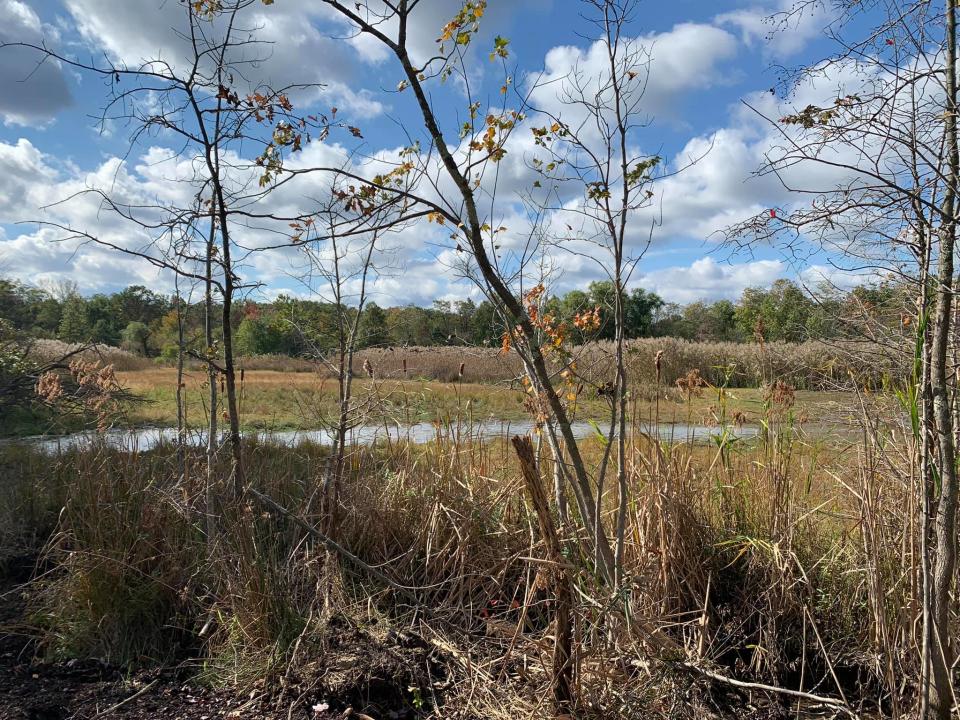 Beaver Dam Park, a Superfund site, opened in 2021 for passive recreation in East Brunswick.