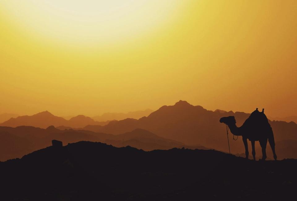 Abu Rudeis is a location in Egypt which was used as a film location for "The Ten Commandments". 
pictured: the rolling hills of Egypt with a camel at the forefront 