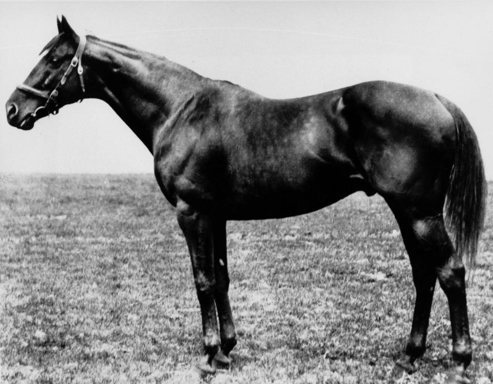 A 1919 photo of Triple Crown winner Sir Barton.