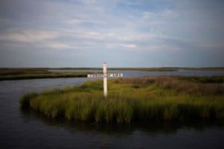 A cross stands in the marsh on Tangier Island, Virginia, U.S., August 4, 2017. REUTERS/Adrees Latif