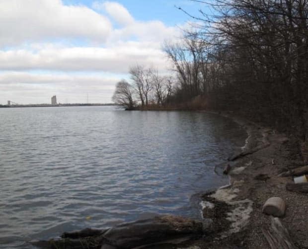 The 13-hectare natural area on the west side of Windsor is considered an ecological gem and is currently being managed by the Windsor Port Authority.