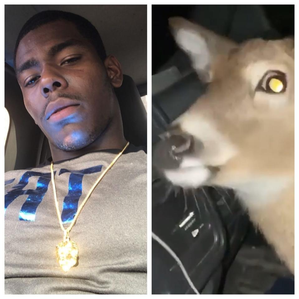 Bambi the deer (right) rides shotgun with Messiah El of Newark (left) in a joyride video El posted to his Instagram in February, 2021.