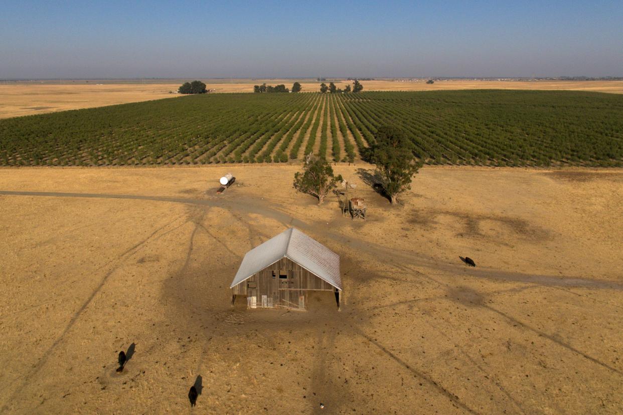 In this aerial photo is farmland in rural Solano County, Calif., Wednesday, Aug. 30, 2023. Silicon Valley billionaires and investors are behind a years-long, secretive land buying spree of more than 78 square miles (202 square kilometers) of farmland in Solano County with the goal of creating a new city. (AP Photo/Godofredo A. Vásquez)