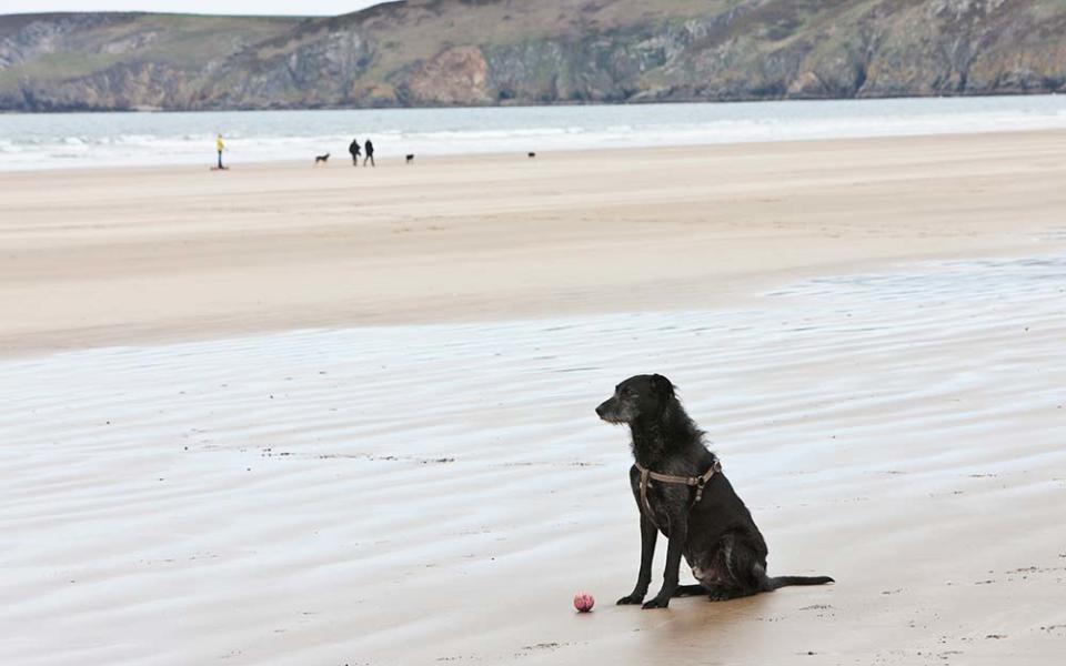 Newgale, Pembrokeshire