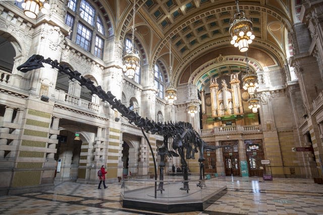 Dippy the Diplodocus skeleton