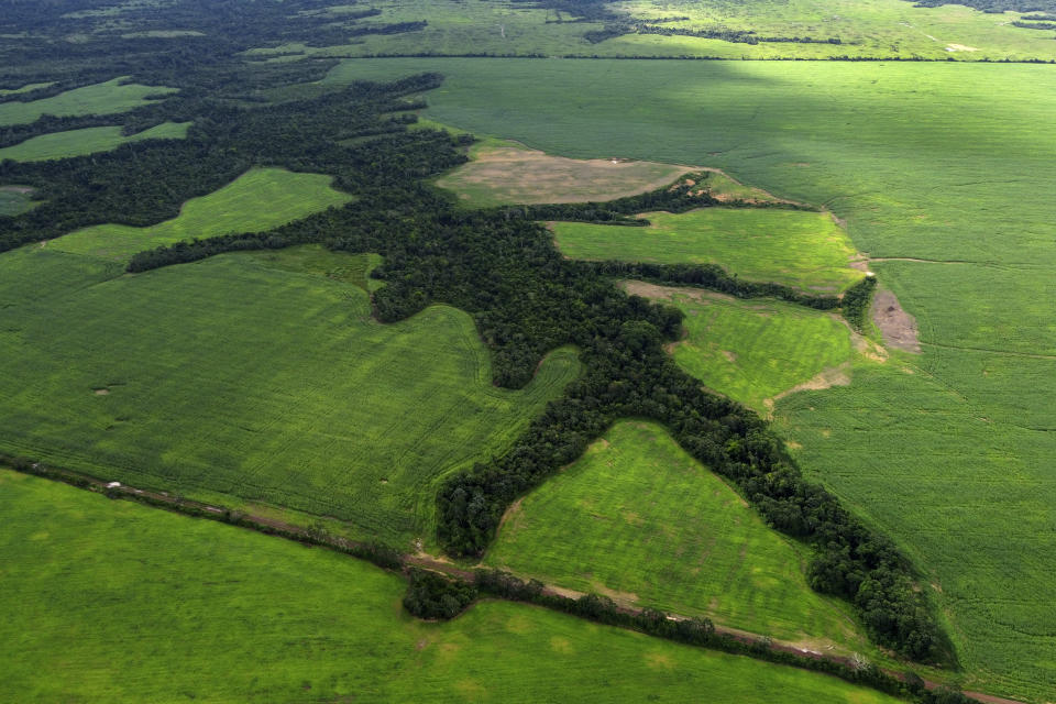 Areas deforested for agriculture sit alongside an area protected for native forest in the rural region of the Paragominas municipality, in Para state, Brazil, Tuesday, May 30, 2023. (AP Photo/Eraldo Peres)