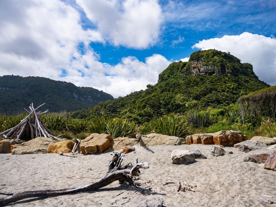 A beach of sand with driftwood and rocks in front of a lush green area.