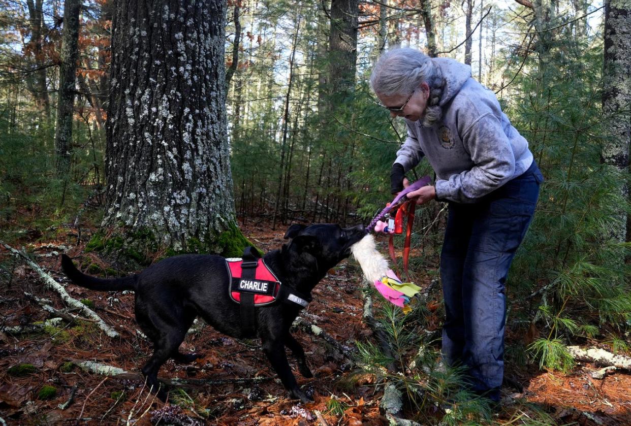 Sandi Musard rewards her dog Charlie by playing with his favorite toy after he successfully located his human scent target in the woods.