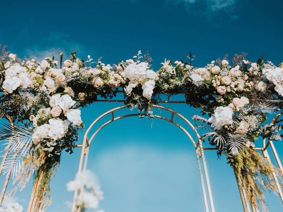 green and white flowers